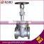 LCB Cryogenic Stainless Steel Gate Valve