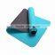TPE YOGA MAT CLEANER