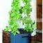 PE fabric potato vegetable grow bag