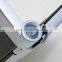 Solar charger/ Solar cellphone charger pawpaw