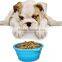 OEM Amazon 100% Food Grade OEM Collapsible Silicone Pet Bowl