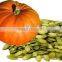 GWS snow white pumpkin seeds shine skin pumpkin seeds