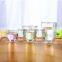 Handmade high borosilicate glassware 300ml double wall glass cup N6025