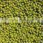Chinese Small Green Mung Beans Crop 2016
