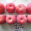 china fresh fuji apples