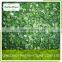 new crop frozen spring onion dice frozen green onion