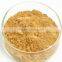 Green Tea Extract from GMP Certified Manufacturer