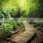 Garden landscape