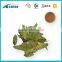 Best selling products senna tea extract powder benefits