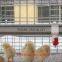 Taiyu Design Day Old Chicks Cage for Sale