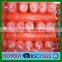 100% HDPE with UV good quality orange safety net