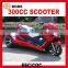 NEW EEC 300CC TRIKE CVT(MC-393)