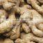 dried ginger
