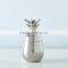 Metal Pineapple Jar