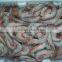 HL002 sea catch skinless shrimp