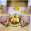 Hot selling cheap price easy cutter Apple cutter