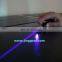 Laser Pointer Pen