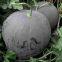 Black King round shape red crimson flesh hybrid watermelon seeds