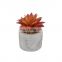 wholesale mini home decoration plastic fake desk pot artificial succulent plants