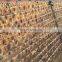 high quality frozen seafood bulk vietnam dried squid for sale