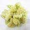 Bulk IQF Frozen Cauliflower with Green Stem