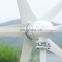 R&X Manufacturer 1kw household wind turbine 5 blades 24v 48v