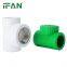 IFAN Wholesale Polypropylene PPR Fitting Customized Tee CW57-3 Brass Female Thread Fitting