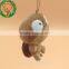 Cute small brown turtle accessories plush toys