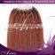 Straight Ombre Micro Ring Hair Extension in Dip Dye #1b to #613 100 strand/set 16-28 inch Women's Remy Micro Loop Hair Wholesale