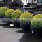 artificial boxwood topiary hedge & artificial boxwood ball