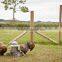 Galvanized or powder coated steel sheep fence