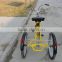 24" beautiful electric tricycle(FP-ETRI02)