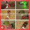 crazy led lights shoelace