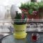 Factory price best selling frosted mini pots for plants