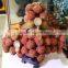 Natural beautiful agalmatolite stone Lychee Tree