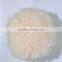 Short Afro curls wig explosion synthetic wig for fans N282
