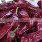 red chili