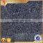 Newest new coming super black granite