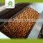 Chinese dried fruit walnut, walnut supplier,