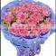 Mother's day gift Beautifu fresh cut carnation pink carnation