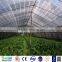 Plastic shade net for agriculture plastic greenhouse with uv protection