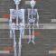 Halloween decorative glow plastic human skeleton