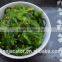 Frozen Sea Foods Hiyashi Wakame Seasoned Seaweed Salad, Japanese Chuka Salad