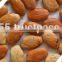 pongamia oil