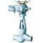 High T&P Globe Valve