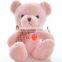 EN71 Custom Lovely Plush Toy Mini Teddy Bear For Children Gift