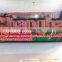 inflatable advertising billboard with LED lights