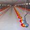Automatic Poultry Farm Equipment Chicken Drinking System for Broiler Farm