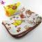 Panel Print Coral Fleece Blanket Cartoon Design Flannel Blanket