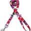 Pet Collar and Leash